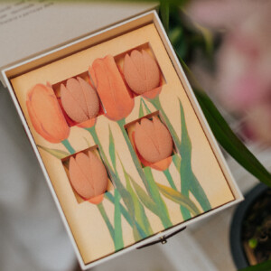 presente | caixa tulipa